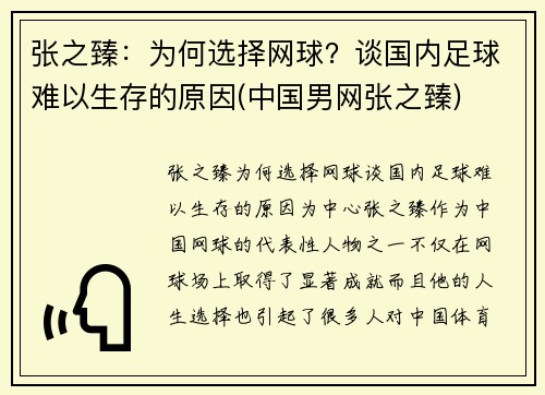 张之臻：为何选择网球？谈国内足球难以生存的原因(中国男网张之臻)
